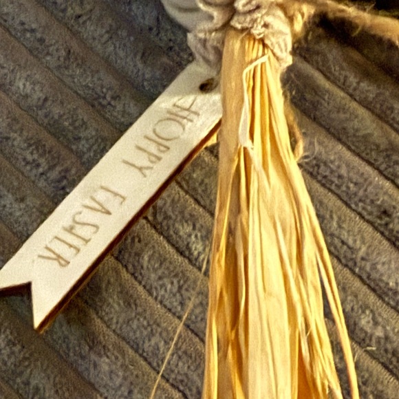 Rae Dunn Beige Fabric 🥕 Carrots- set of 3- NWT - Picture 3 of 7